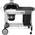 Weber Performer Deluxe GBS