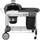 Weber Performer Deluxe GBS