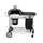 Weber Performer Premium GBS