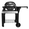 Weber Pulse 2000