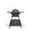 Weber Q 1400 Stand
