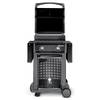 Weber Spirit E-210