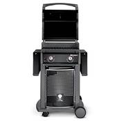 Weber Spirit E-210 Vergleich