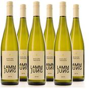 Weingut Lamm Jung Kg Riesling Vergleich