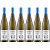 Weingut Metzger Sauvignon Blanc