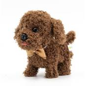 WeofferwhatYOUwant Labradoodle Vergleich
