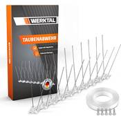 WERKTAL Taubenabwehr