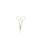 Westcott E-13102 00