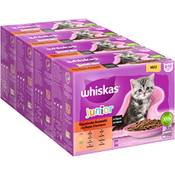 Whiskas Junior ‎case443680