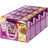 Whiskas Junior Ragout in Gelee