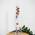 Widdop Bingham  Galileo-Thermometer G108