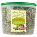 Wiesenknopf Kaninchenfutter