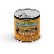 Wild Born Wild Mustang