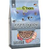 hunde nassfutter senior AniForte® Nassfutter Senior Huhn – haustierkost.de® main image 1