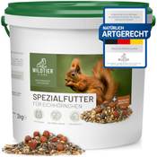 Wildtier liebe Eichhörnchenfutter