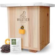 Wildtier Liebe Hummelhaus Natur Vergleich