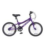 Wildtrak Mädchenfahrrad