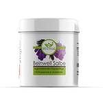 Wilvital Beinwell Salbe