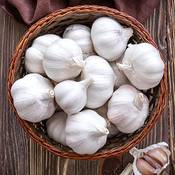 Wjkwy-Q Pflanzknoblauch Vergleich