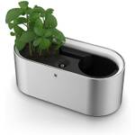 WMF Ambient Kräuter@home