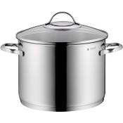 the WMF Gemüsetopf 24 cm Vergleich