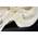 Wohnen & Accessoires GmbH & Co. KG Kaschmirdecke Mongolia 999144200