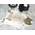 Wohnen & Accessoires Kuhfell Teppich