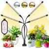 Wolezek Pflanzenlampe