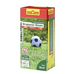 Rasensamen Test & Vergleich Top 10