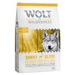 Wolf of Wilderness Sunny Glade