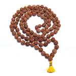 Wonder Care Authentische Rudraksh