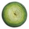 Woolly Hugs Bobbel Cotton