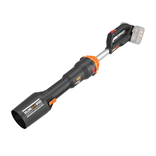 Worx Laubbl ser Test Vergleich Top 11 im M rz 2024