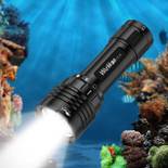 Wurkkos DL30 Tauchlampe