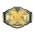 ‎Wwe NXT Championship Belt