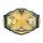‎Wwe NXT Championship Belt