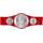 Wwe FLB13