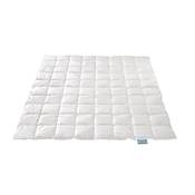 Xdream 29020001140