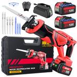 Xiazir Säbelsäge Akku