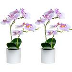 Xonor Orchideenblumen