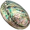 Xudrez  Abalone-Meeresmuschel