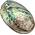 Xudrez  Abalone-Meeresmuschel