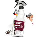 Yachticon Spinnenschreck