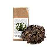 Yakeba Rose von Jericho (Selaginella lepidophylla) Vergleich
