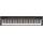 Yamaha P-121B