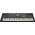 Yamaha PSR-EW425