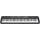 Yamaha PSR- F52