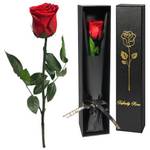 Yamonic Infinity Rose