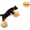 Yangbaga Kletterwand für Katzen