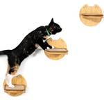 Yangbaga Kletterwand für Katzen